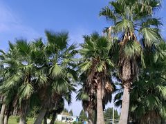-蜀绣公园