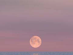 -吴草鸡爪오초닭발韩食堂(融恒盈嘉中心店)