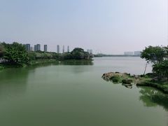-顺峰山公园