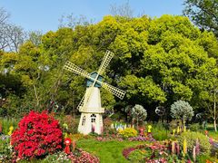 -上海共青森林公园