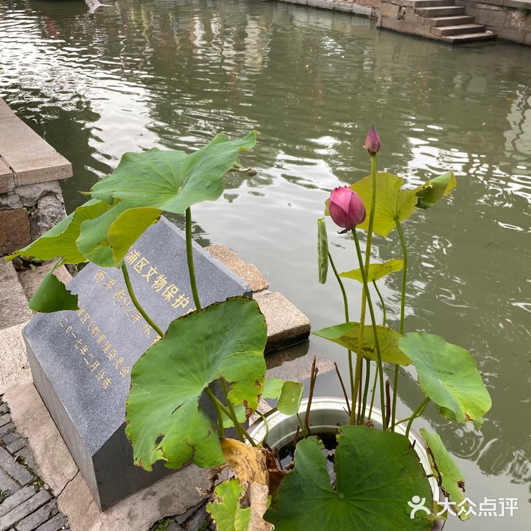 上海最值得逛的古镇，朱家角古镇