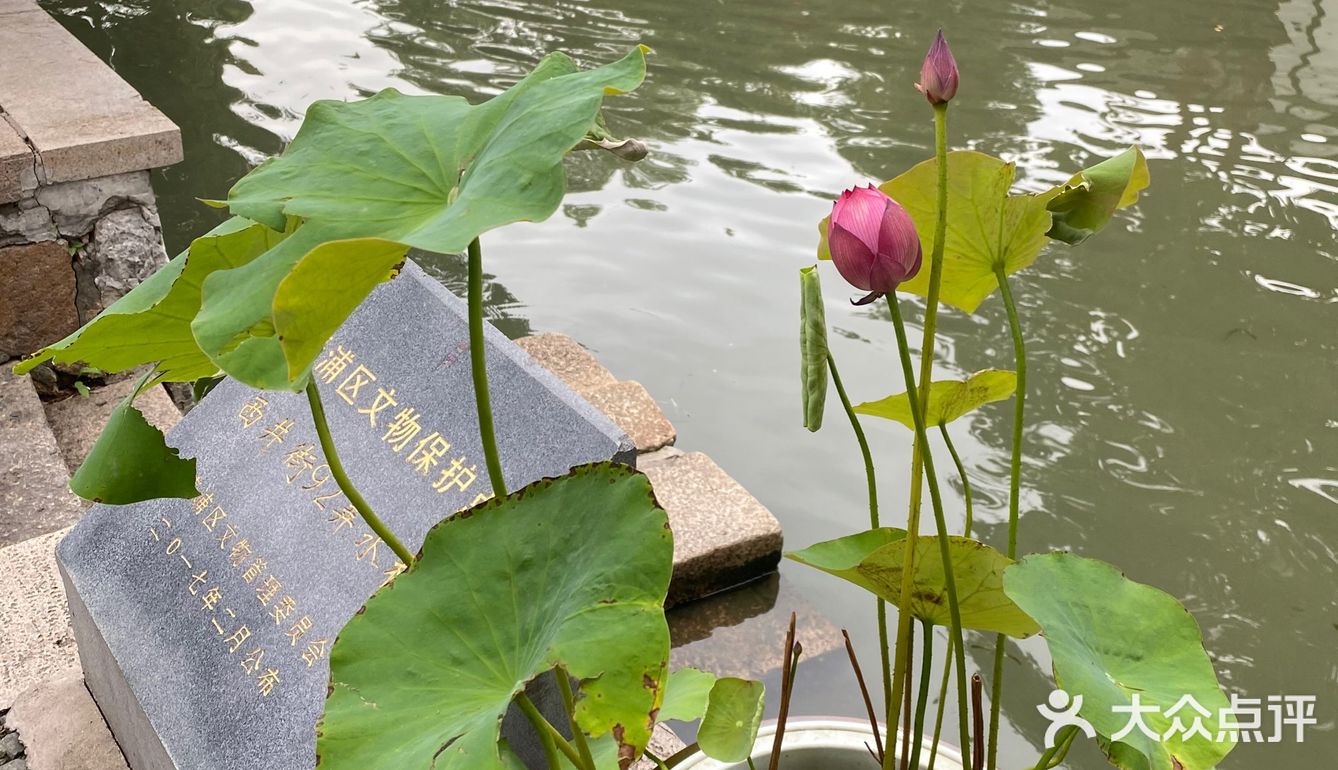 上海最值得逛的古镇，朱家角古镇