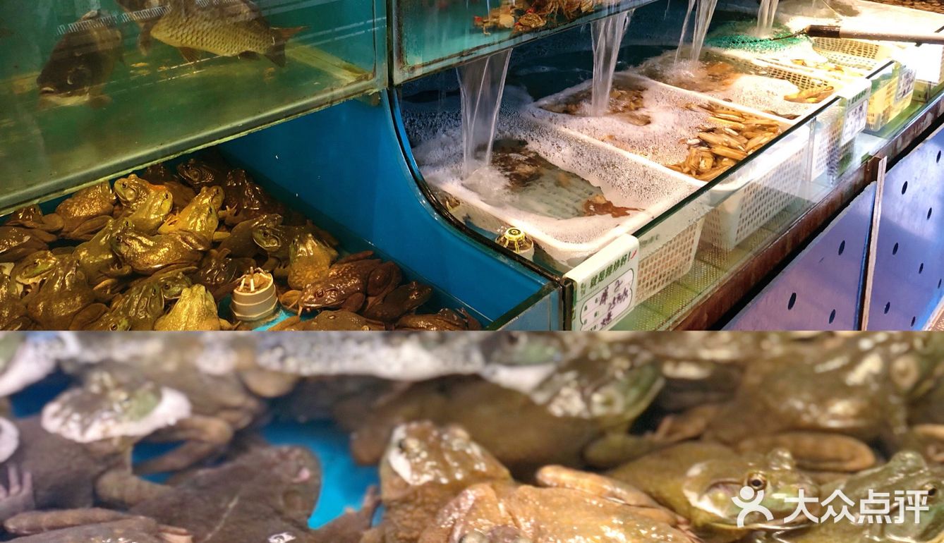 无辣不欢暴汗套餐|大连辣炒我只服你🌶️