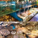 无辣不欢暴汗套餐|大连辣炒我只服你🌶️