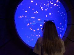 -波塞冬旅游度假区