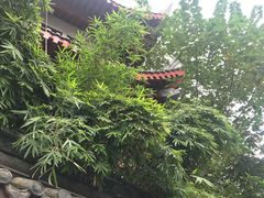 -香园自助小火锅