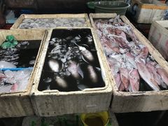 -金巴兰鱼市场