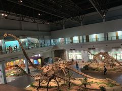 -自贡恐龙博物馆