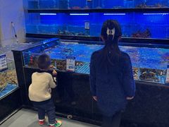 -一麦·龙岛(上海青浦店)