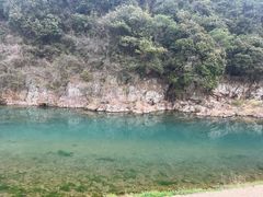 -北仑森林植物园