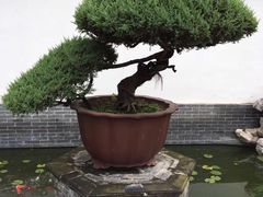-水绘园