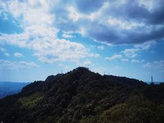 -缙云山景区