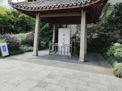 -西湖游船