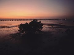 -宝安西湾红树林湿地公园