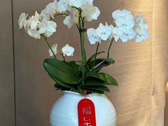 -王府茶宴(朝阳公园店)