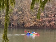 -上海海湾国家森林公园