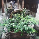 唱着从小卖蒸馍。这次去摇身一变成为了可吃可逛可玩的地方