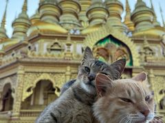 -西双版纳勐泐文化旅游区