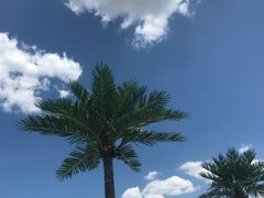 -天山海世界·米立方