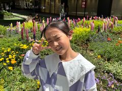 -瑞虹新天地月亮湾