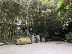 -竹吟山房