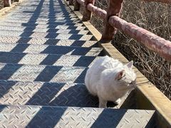 -北京凤凰岭
