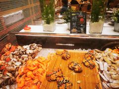 -上海大宁福朋喜来登酒店大堂吧(共和新路店)