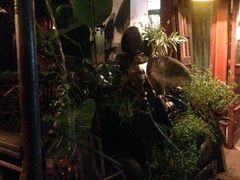 -爪哇空气酒吧