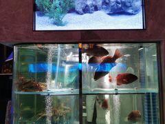 水产区-海派悦庭·海胆烧麦·新融合菜(凯德广场店)