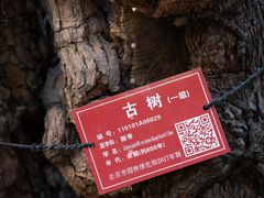 -北京明城墙遗址公园