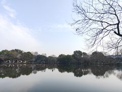 -西湖游船