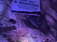 -周口店北京人遗址公园
