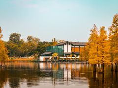 -白鹭湾湿地公园