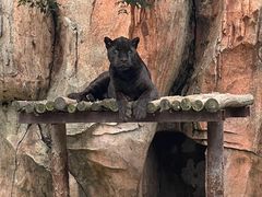 -沈阳森林动物园