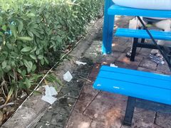 -重庆海昌加勒比海水世界