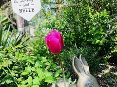 -Jo's Garden