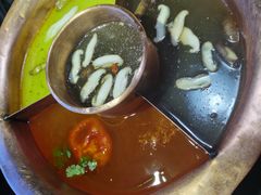 -老诚一锅羊蝎子(黄寺大街店)