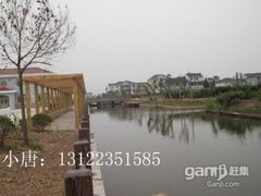 -南汇水蜜桃采摘(大团店)