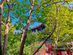 -天津市峰山药王古寺