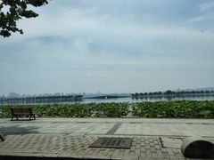 -素清香(解放路店)