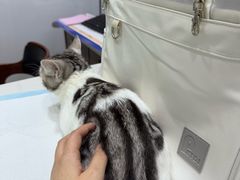 -pd派德宠物中心医院24H急重症·眼科中心·血液透析中心(嵩山北路店)