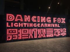 -锦江乐园舞狸花花游园会(夜场专享)