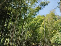 -楠溪江石桅岩