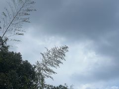-大蜀山国家森林公园