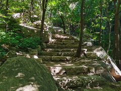 -大岭沟猕猴桃谷风景区