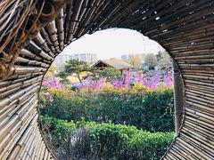 -郑州银基黄帝宫御温泉