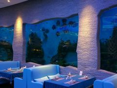 -瑞德姆美人鱼海底演艺主题餐厅(亚龙湾店)