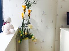 -泰康拜博口腔(世博园乐尔店)