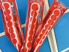 -和禄德冰糖葫芦