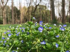 -蜀冈西峰生态公园